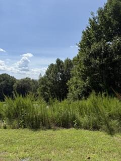 Lot 62 Big Valley Lane Morganton GA 30560