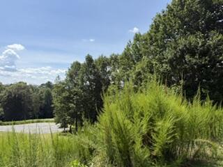 Lot 62 Big Valley Lane Morganton GA 30560