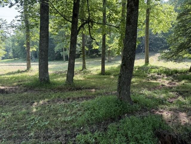 0 Lot 6 Clear Creek Preserve Way Ellijay GA 30536