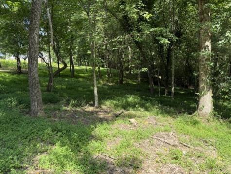 0 Lot 6 Clear Creek Preserve Way Ellijay GA 30536