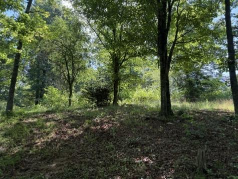 0 Lot 6 Clear Creek Preserve Way Ellijay GA 30536