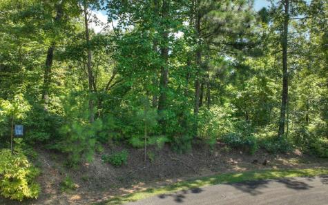 136 Whispering Ridge Court Ellijay GA 30540