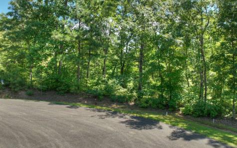 136 Whispering Ridge Court Ellijay GA 30540