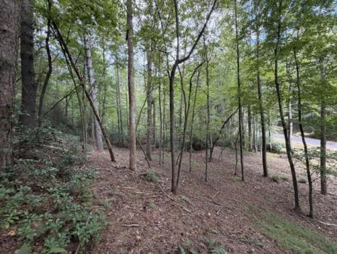 Lot 133 Seneca Drive Ellijay GA 30540