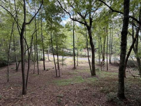 Lot 133 Seneca Drive Ellijay GA 30540