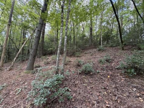 Lot 133 Seneca Drive Ellijay GA 30540