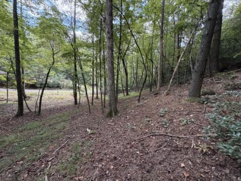 Lot 133 Seneca Drive Ellijay GA 30540