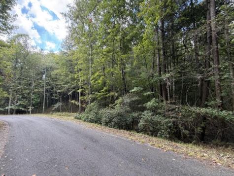 Lot 133 Seneca Drive Ellijay GA 30540