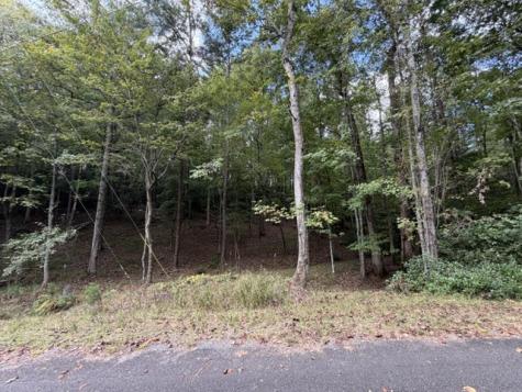 Lot 133 Seneca Drive Ellijay GA 30540