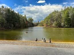 Lot 133 Seneca Drive Ellijay GA 30540