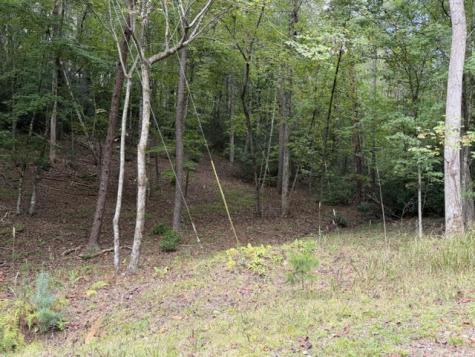 Lot 133 Seneca Drive Ellijay GA 30540