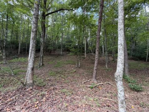 Lot 133 Seneca Drive Ellijay GA 30540