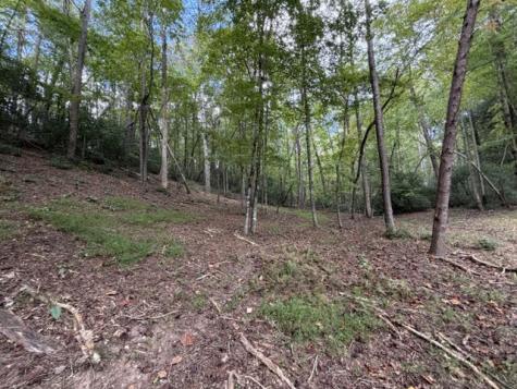 Lot 133 Seneca Drive Ellijay GA 30540