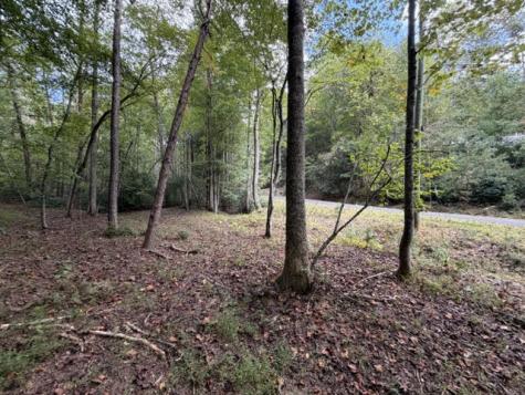 Lot 133 Seneca Drive Ellijay GA 30540