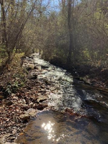 Lot 95 Cedar Road Ellijay GA 30540