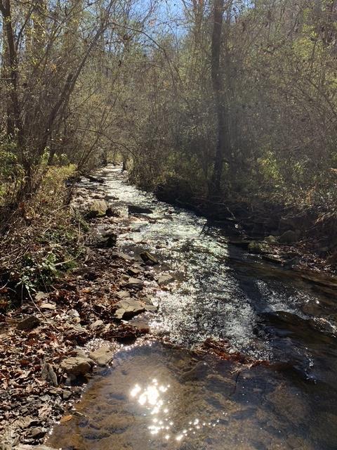 Lot 95 Cedar Road Ellijay GA 30540