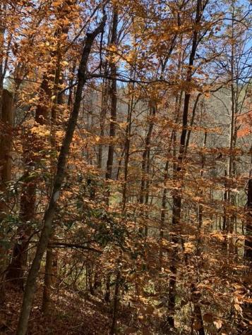 Lot 95 Cedar Road Ellijay GA 30540