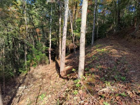 Lot 95 Cedar Road Ellijay GA 30540