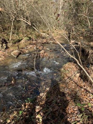 Lot 95 Cedar Road Ellijay GA 30540