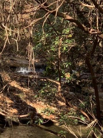 Lot 95 Cedar Road Ellijay GA 30540