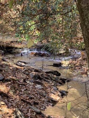 Lot 95 Cedar Road Ellijay GA 30540