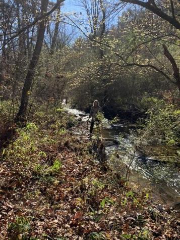 Lot 95 Cedar Road Ellijay GA 30540