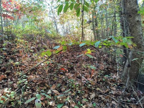 Lot 95 Cedar Road Ellijay GA 30540