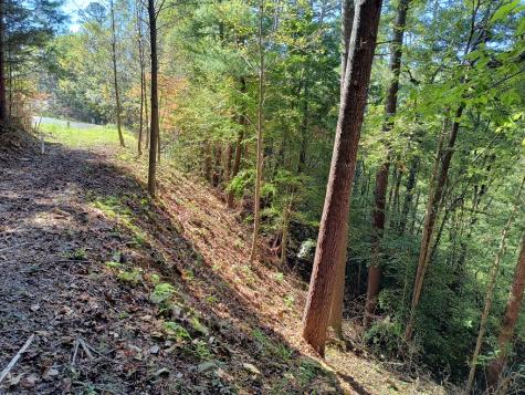 Lot 95 Cedar Road Ellijay GA 30540