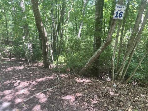 16 S Dogwood Hayesville NC 28904