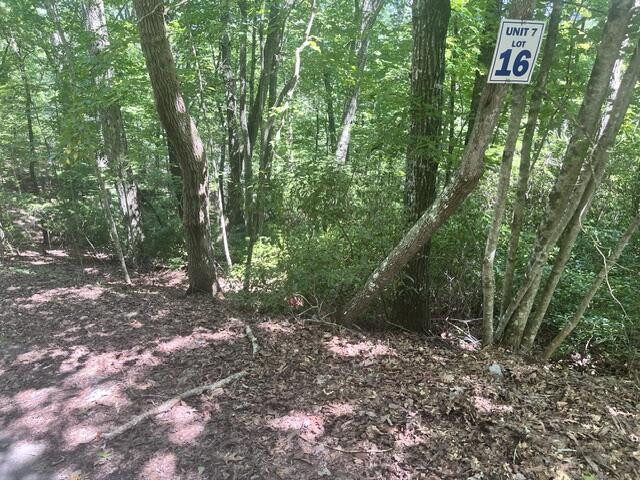 16 S Dogwood Hayesville NC 28904