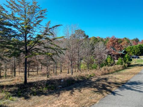 Lt 52-53 Village Loop Blairsville GA 30512