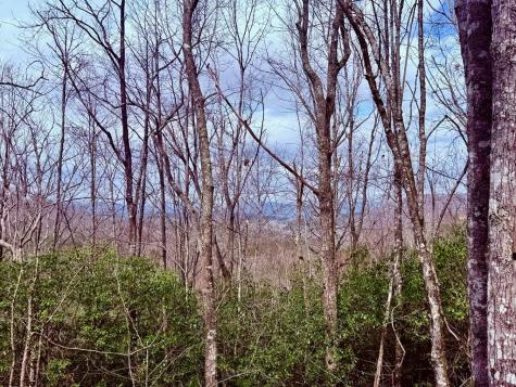 3.06 Ac Ridgeline Drive Brasstown NC 29802