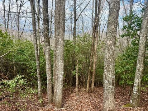 3.06 Ac Ridgeline Drive Brasstown NC 29802