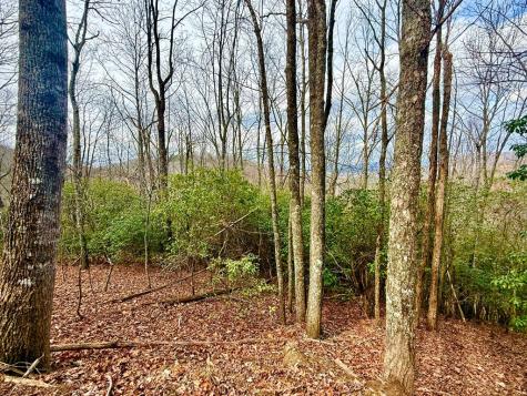 3.06 Ac Ridgeline Drive Brasstown NC 29802