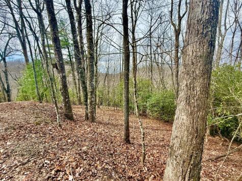 3.06 Ac Ridgeline Drive Brasstown NC 29802