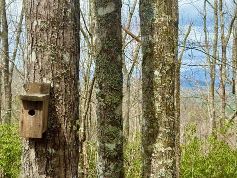 3.06 Ac Ridgeline Drive Brasstown NC 29802