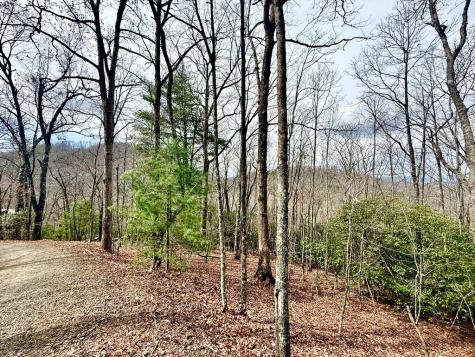 3.06 Ac Ridgeline Drive Brasstown NC 29802