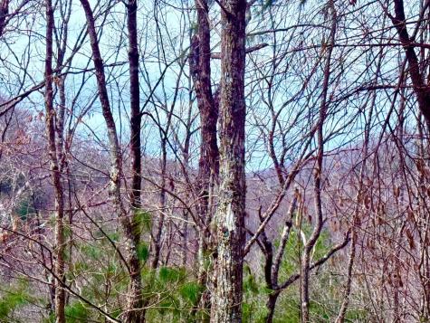 3.06 Ac Ridgeline Drive Brasstown NC 29802