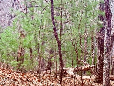3.06 Ac Ridgeline Drive Brasstown NC 29802