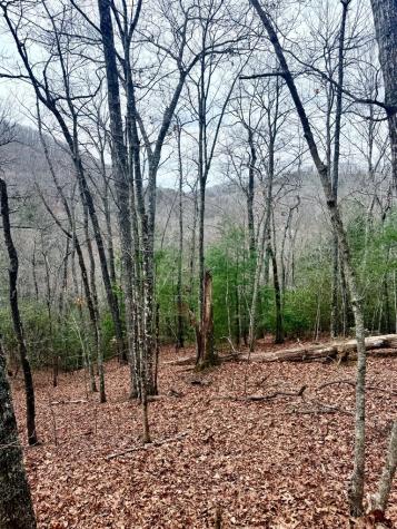 3.06 Ac Ridgeline Drive Brasstown NC 29802