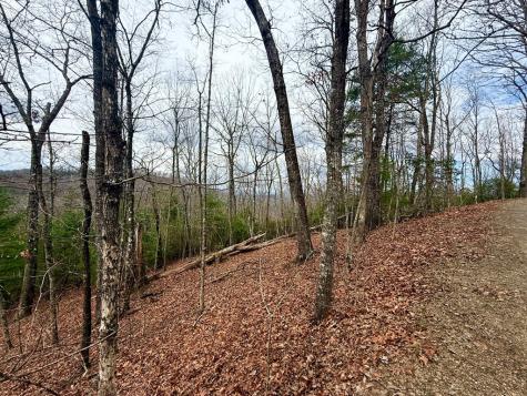 3.06 Ac Ridgeline Drive Brasstown NC 29802