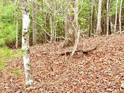 3.06 Ac Ridgeline Drive Brasstown NC 29802