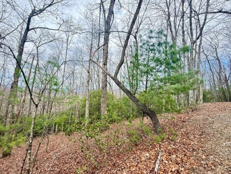 3.06 Ac Ridgeline Drive Brasstown NC 29802