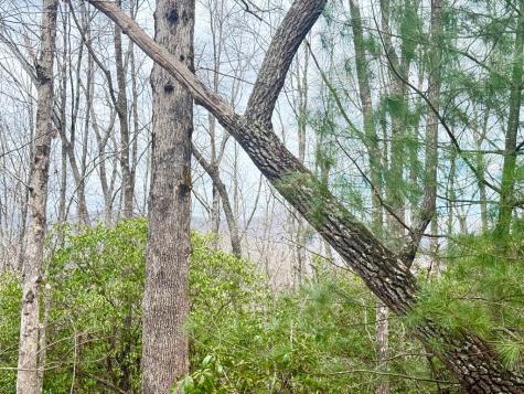 3.06 Ac Ridgeline Drive Brasstown NC 29802