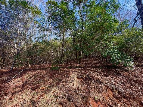3.06 Ac Ridgeline Drive Brasstown NC 29802