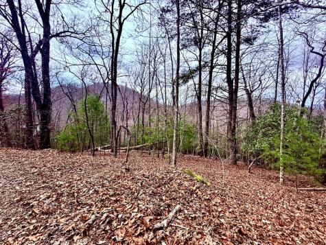 3.06 Ac Ridgeline Drive Brasstown NC 29802