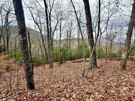 3.06 Ac Ridgeline Drive Brasstown NC 29802