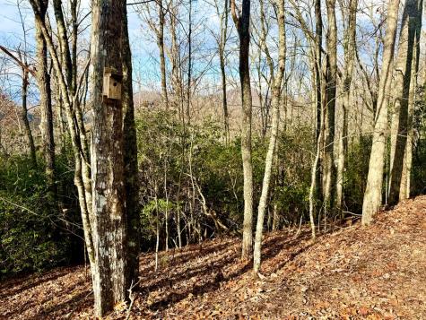 3.06 Ac Ridgeline Drive Brasstown NC 29802