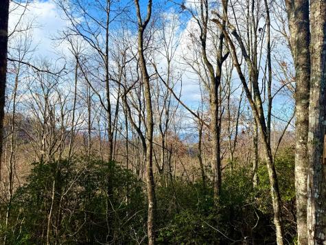 3.06 Ac Ridgeline Drive Brasstown NC 29802