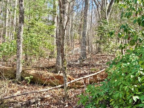 3.06 Ac Ridgeline Drive Brasstown NC 29802
